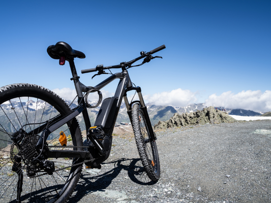 Fahrradschutzhülle für 2 E-Bikes Heckträger Test – der ultimative Transportschutz